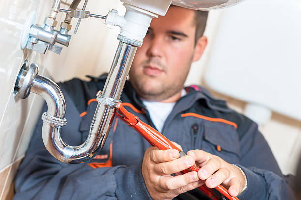 Best Garbage Disposal Repair and Installation  in Carrier Mls, IL